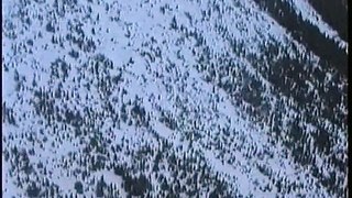 Bella Coola Natural History: Aerial Survey