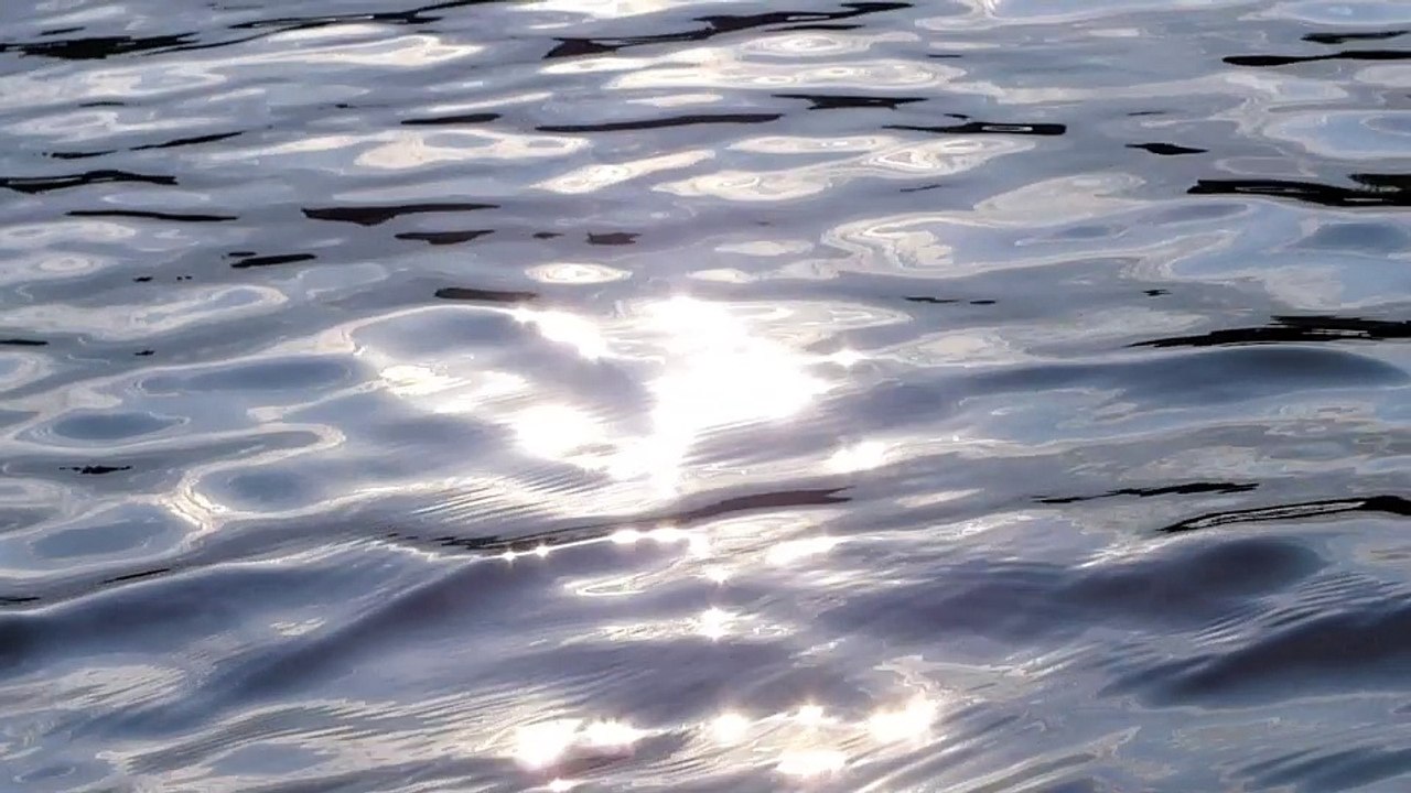 THI$ Instr. - humans(R)demons - (3) Die Gesellschaft zum Wegwerfen