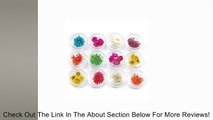 12 kinds dried flower nail art Ongles decoration Review
