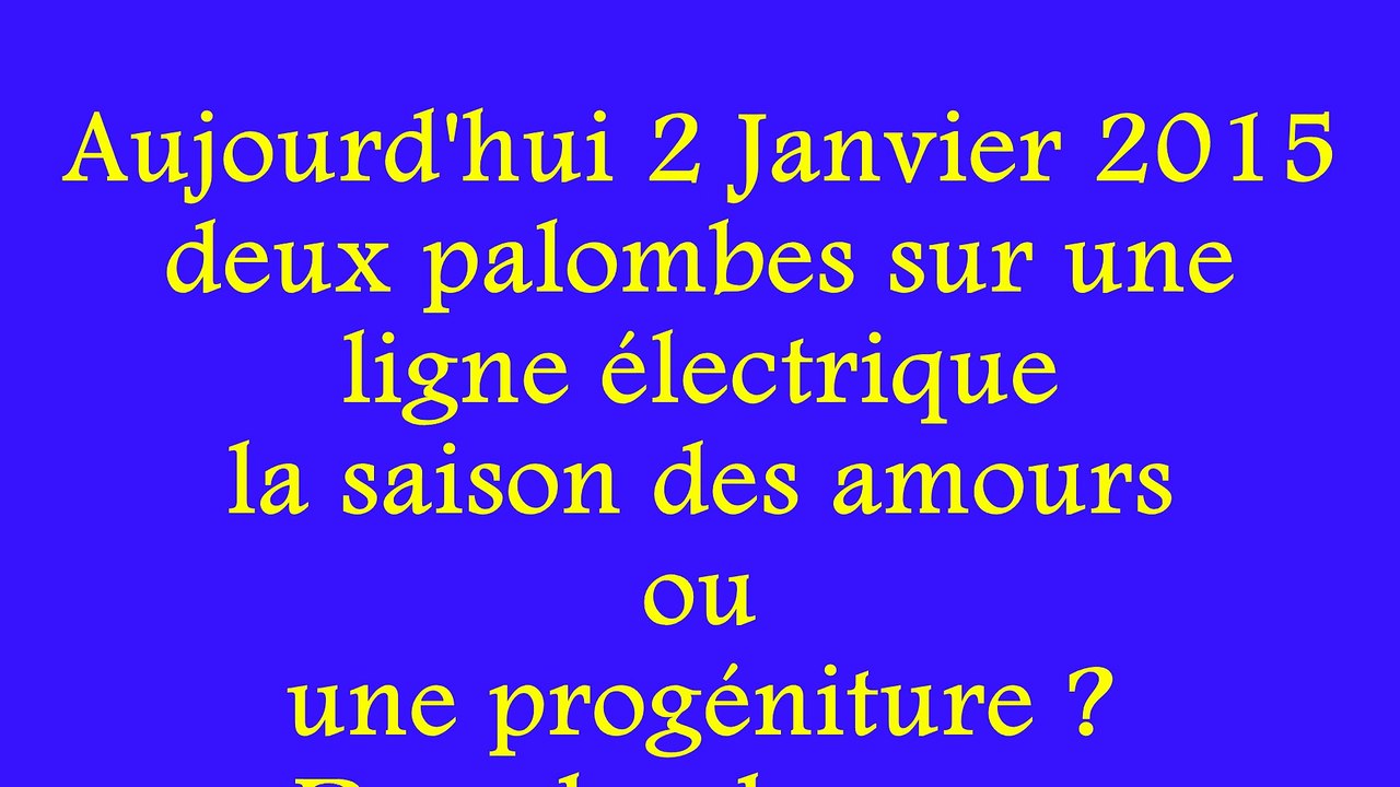 Palombes accouplées au 02 / 01 / 2015 ?
