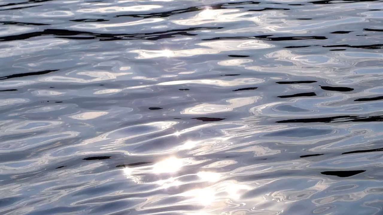 Repair - humans(R)demons - (4) Die Gesellschaft zum Wegwerfen