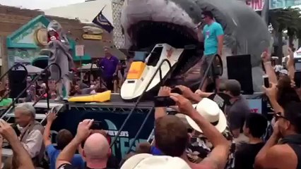 Jeffrey Volosin at Shark Week Hermosa Beach California