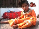 sarai alamgir arshad sina report polio ki shakar bachi