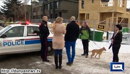 Dunya News - Calgary shooting: 1 dead, 6 others injured at New Year's party