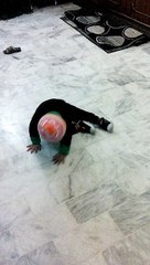 baby xaviyar dancing on go nawaz gof