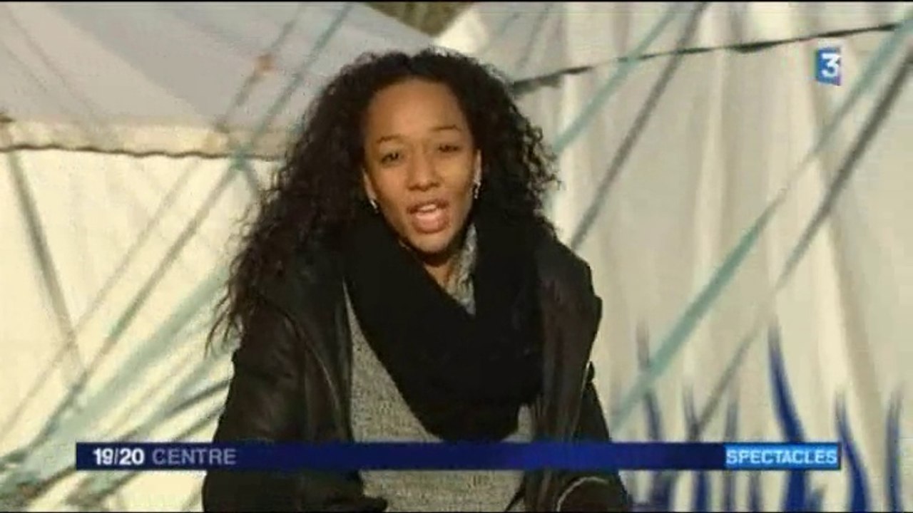 Les talents du cirque Georget à Luynes