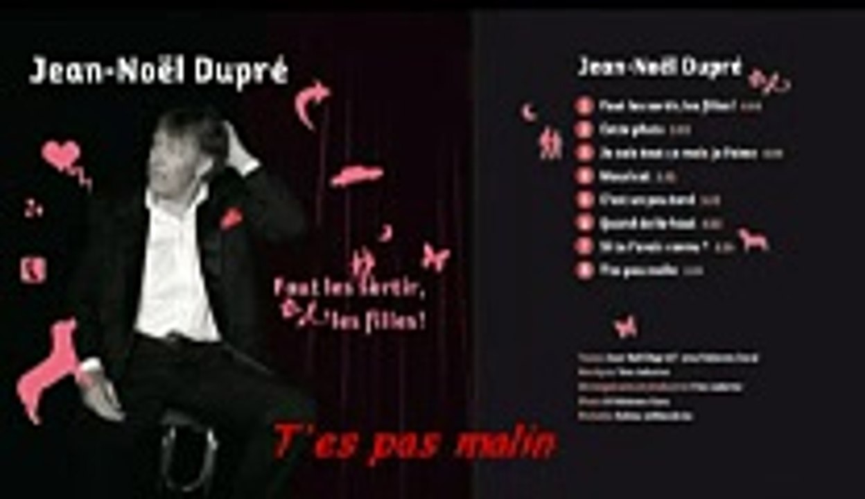 Jean Noêl Dupré - T'es pas malin
