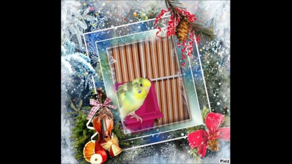 Projet noël pour le groupe.