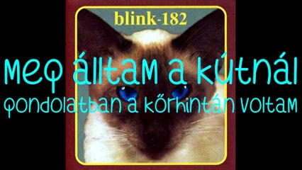 blink-182 – Carousel/Kőrhinta magyar felirattal