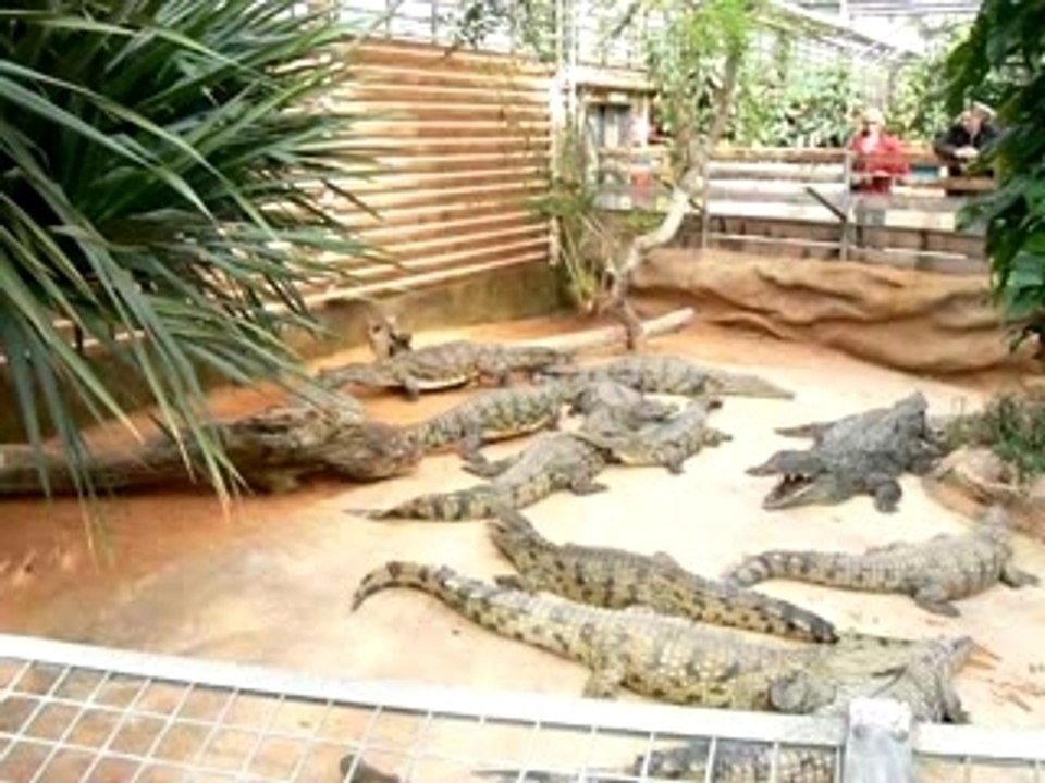 la ferme aux crocodiles pierrelatte