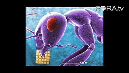 Robots, The Next Big Thing?