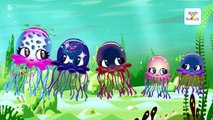 The Finger Family Song | Jelly Fish Finger Family Cartoon Animation Nursery Rhymes for Children