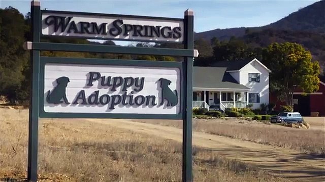 Budweiser Super Bowl XLVIII Commercial -Puppy Love-