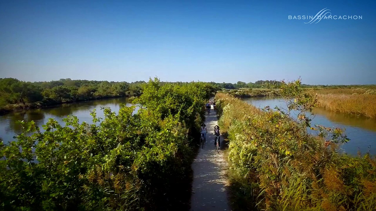 Bonne année 2015 - Bassin d'Arcachon