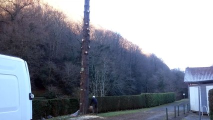 Abattage Cèdre Licq 31/12/2014