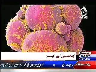 Bbc Urdu Sairbeen On Aaj News – 2nd January 2015