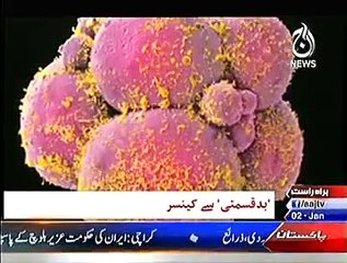 BBC Sairbeen 2nd Jan 2015