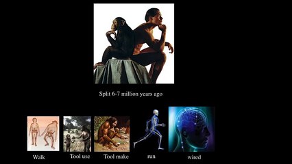 Zeray Alemseged: Human Evolution Hasn't Been Perfect