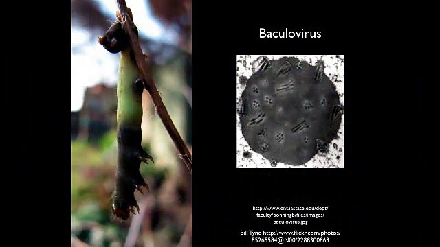 Carl Zimmer: Putting the Virus to Work