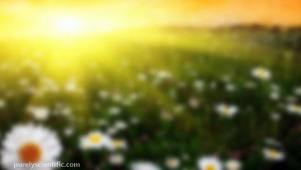 What Are The Solutions For Autism?