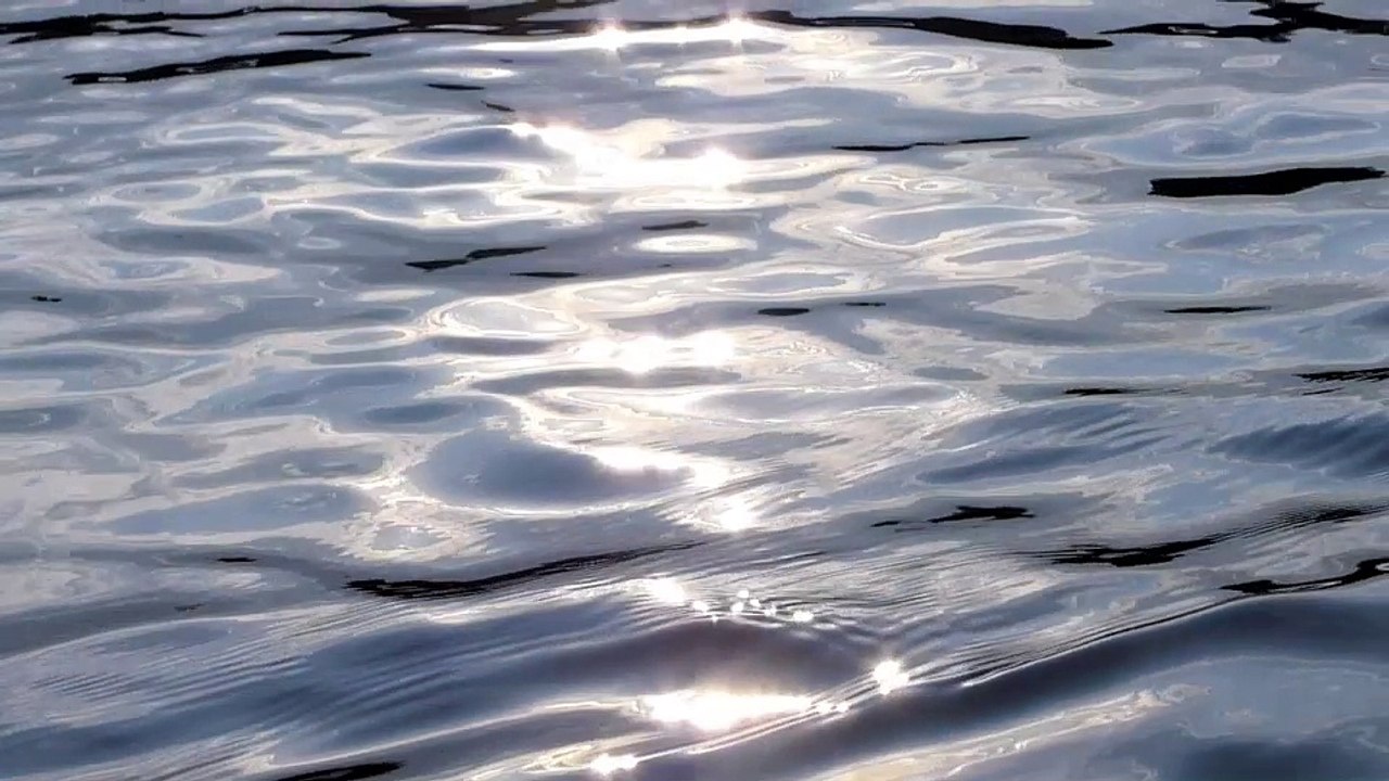 Endloser Weg - humans(R)demons - (6) Die Gesellschaft zum Wegwerfen