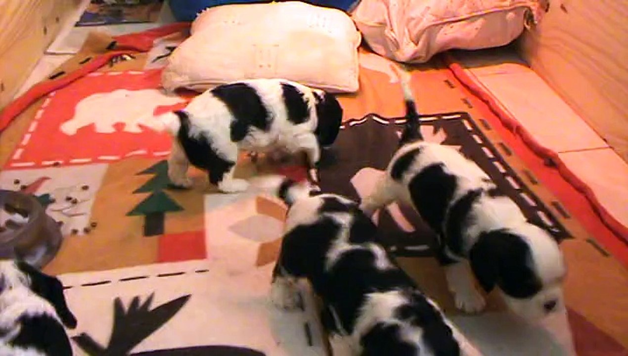 jeux de bébés à 1 mois