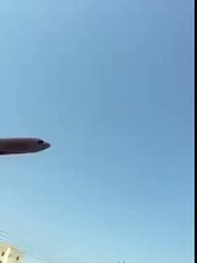 airo plane crashed in tree