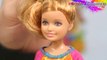 Destination Safari Stacie Doll / Stacie na Safari - Barbie Sisters / Siostry Barbie - BGV58 - Recenzja