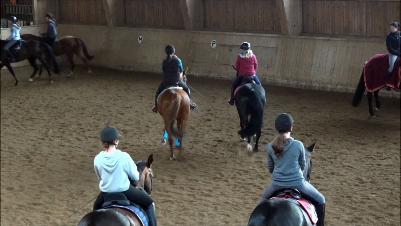 Musikreiten & Sprung ins neue Jahr 2014