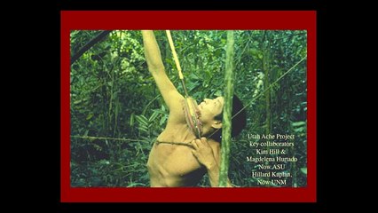 Gender and Social Roles in Hunter-Gatherer Societies