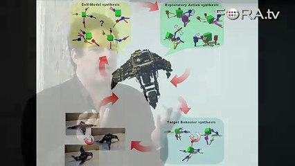 A Robot Teaches Itself How to Walk