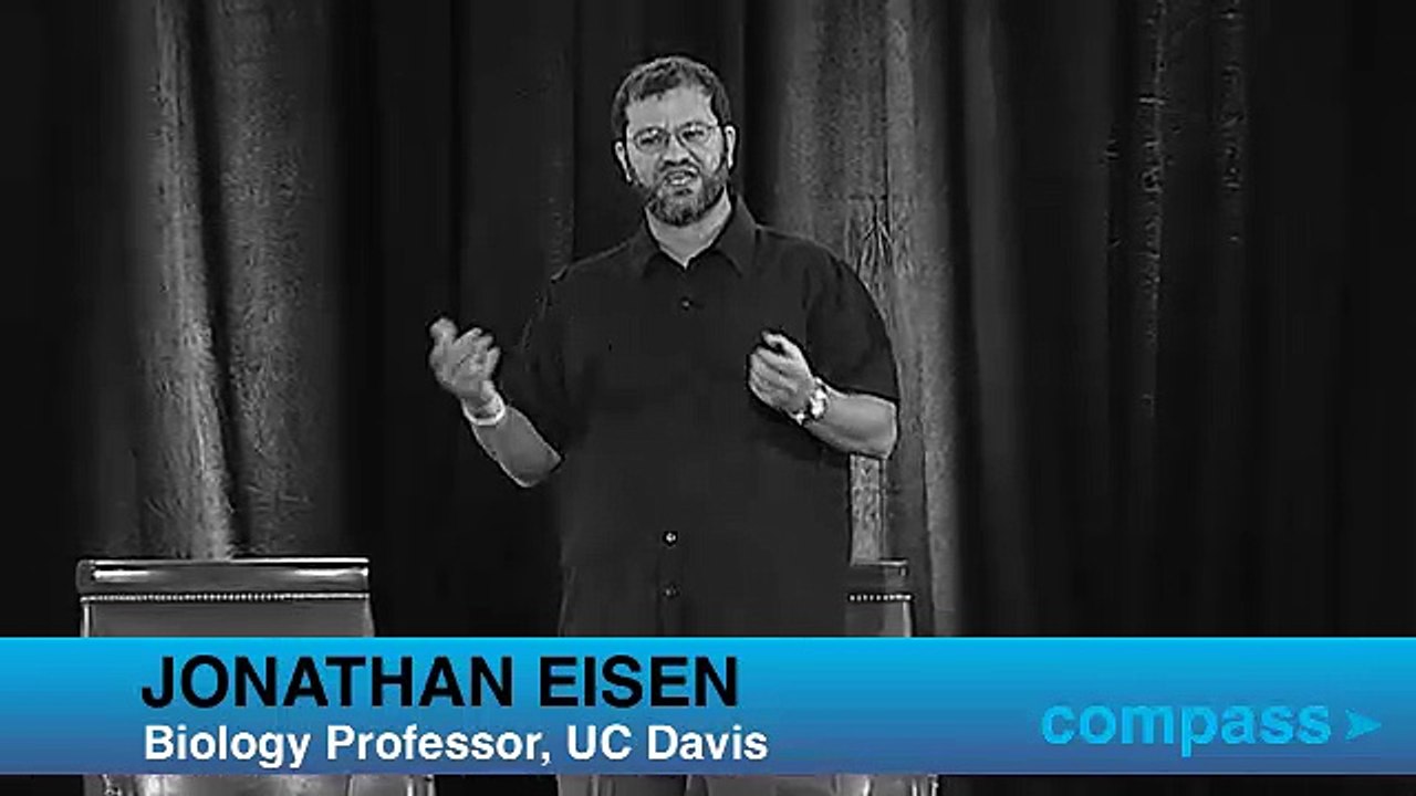 Microbiome: The Ecosystems Living on Your Body