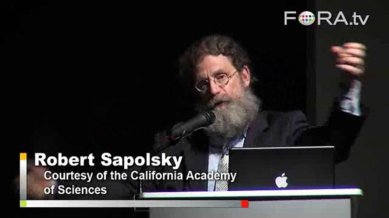 What Separates Us from Chimps? As It Turns Out, Not Much