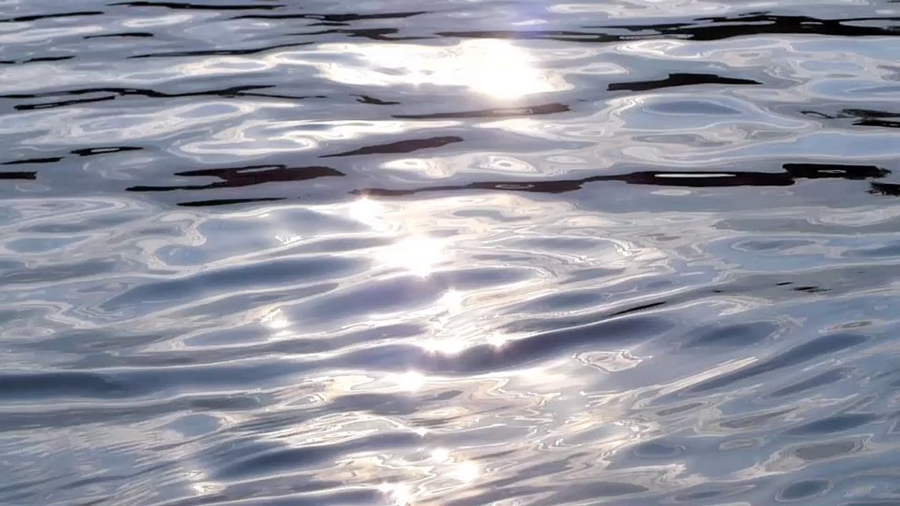 Das Verbrechen - humans(R)demons - (hidden) Die Gesellschaft zum Wegwerfen