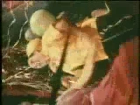 Dario Moreno - La Marmite (1961)