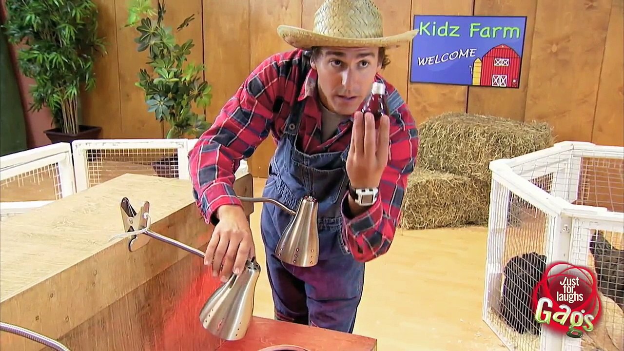 Cute Hatching Ostrich Babies Prank