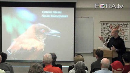 Discovery: First Scientifically Confirmed Poisonous Bird