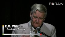E.O Wilson: Save the Living Environment, Save the World