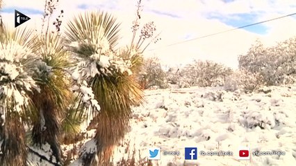 Le désert de l'Arizona couvert d'un épais manteau de neige