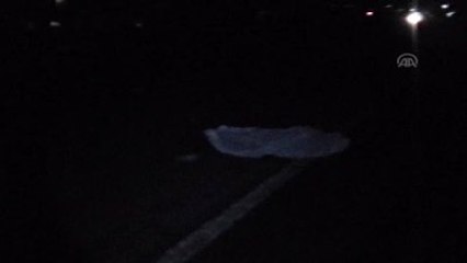 Mersin'de Araç Yayalara Çarptı: 2 Ölü