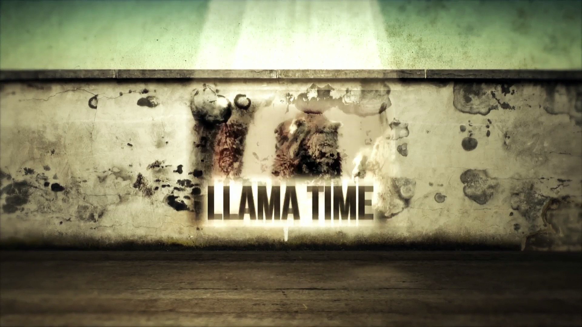 Llama Time - UKRAINE