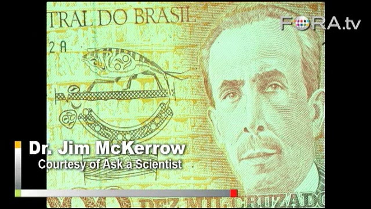 Was Darwin’s Death a Result of Chagas Disease?