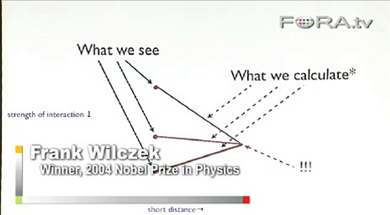 Frank Wilczek - Creating a Unified Field Theory
