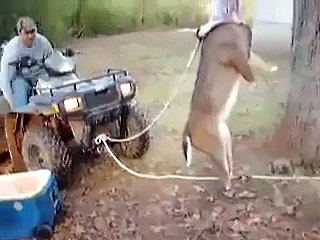 Skin Removing Machine