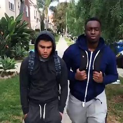 When You Mess With The Wrong Dog