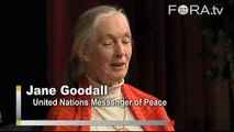 Jane Goodall Discusses Global Overpopulation