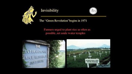 How the Green Revolution Caused Pesticide Chaos