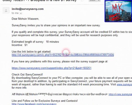 Survey Savvy Earn Dollar 1 per Survey,online earning