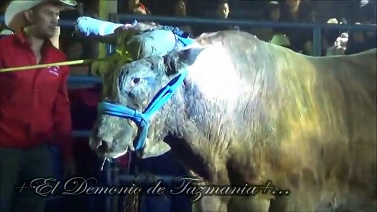 MUERE JUGANDO COMO LOS GRANDES Ultima jugada del un Exdestructor Demonio de Tazmania De Selleccion Jalisciense 2014