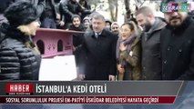 İstanbul'da Kedi Oteli